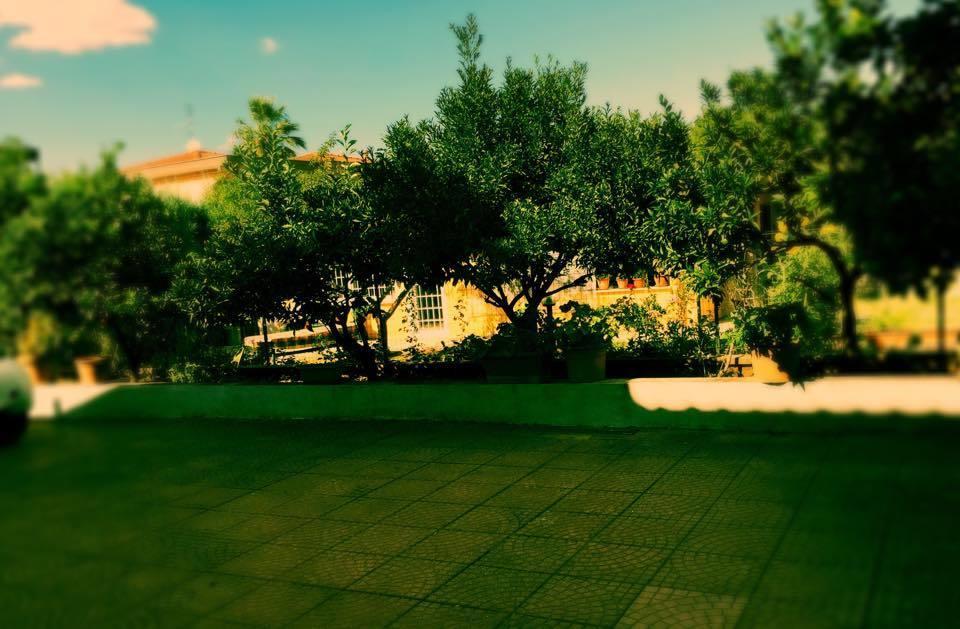 Villa Aurora Morena 외부 사진